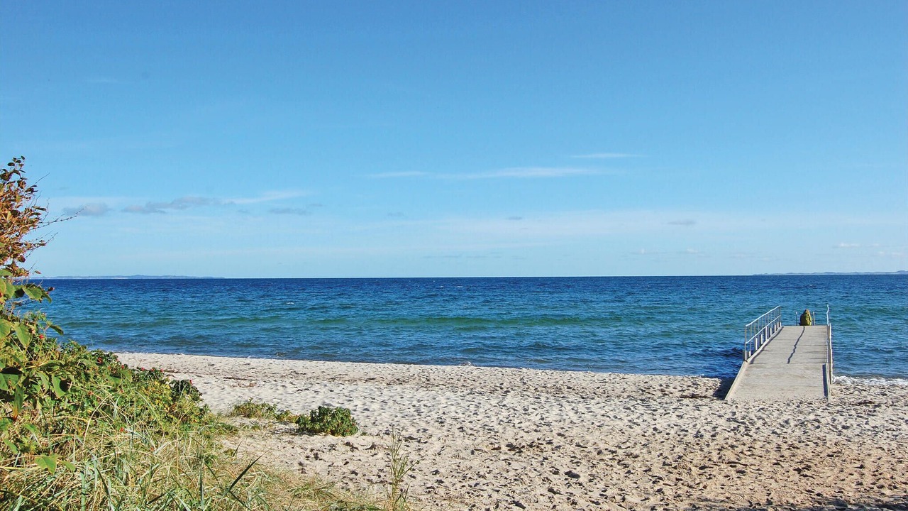 Photo of Others in Saksild Strand