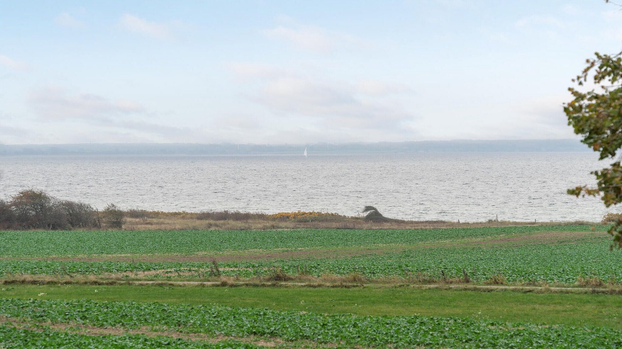 Photo of Others in Høruphav