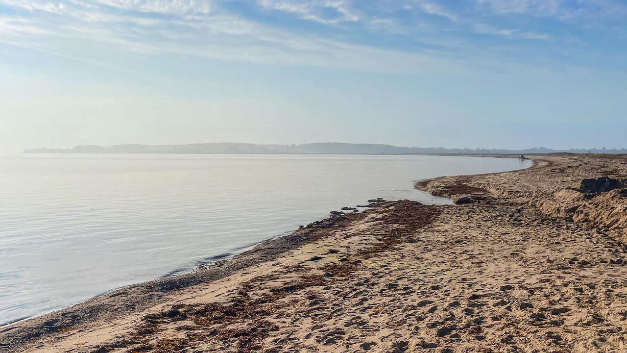 Photo of Others in Flovt Strand