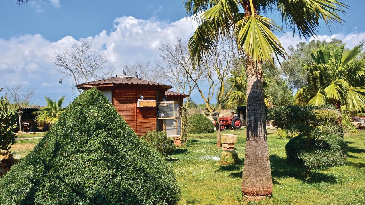 Photo of Outdoor in Sencelles