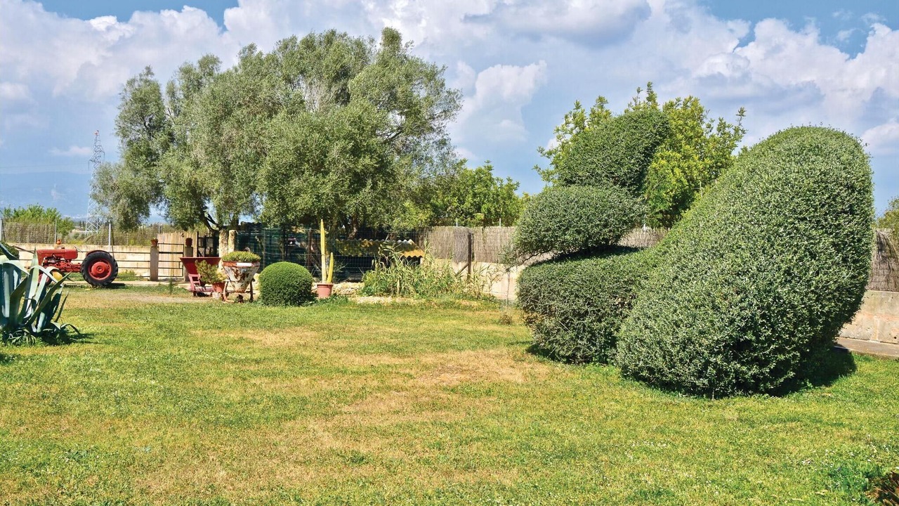 Photo of Outdoor in Sencelles