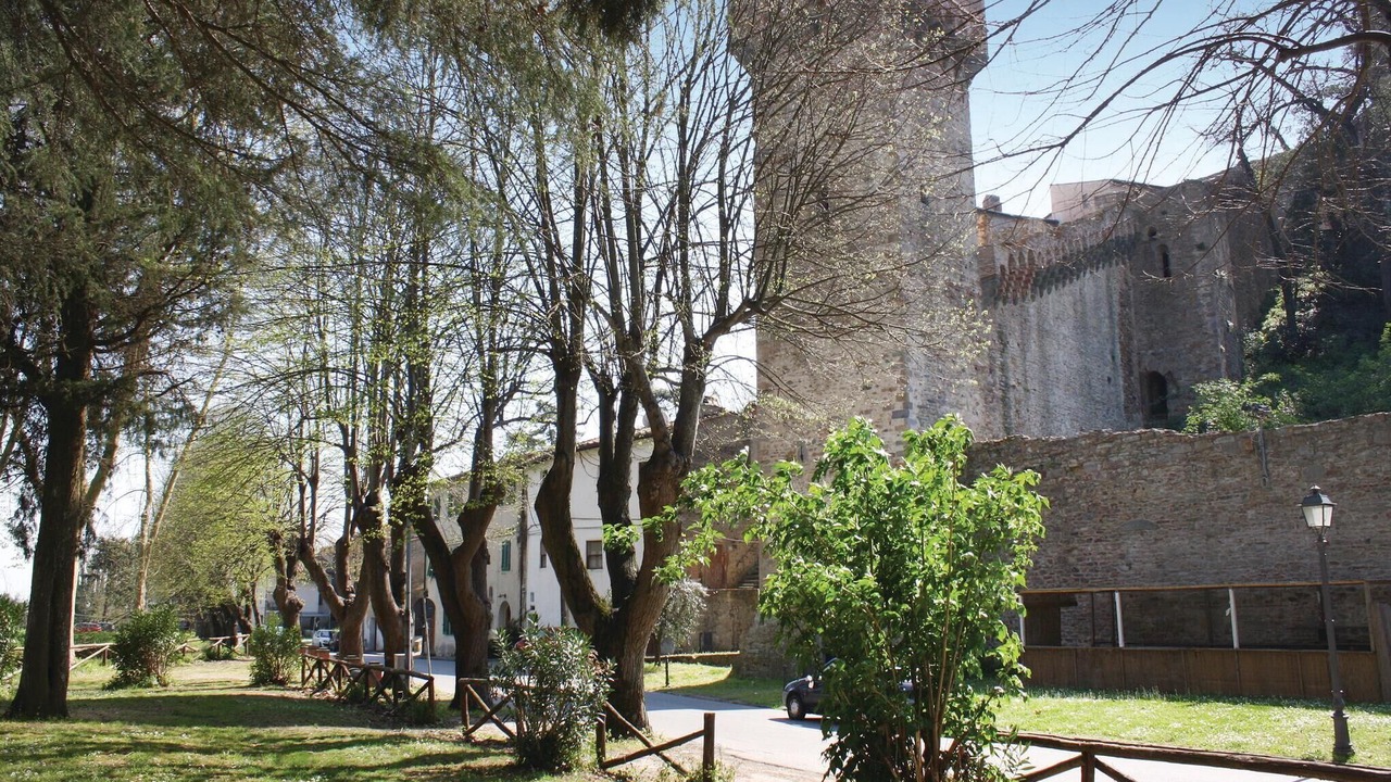 Photo of Others in Calcinaia