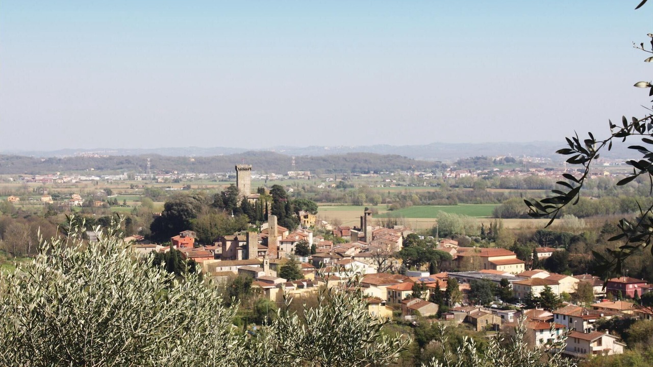 Photo of Others in Calcinaia