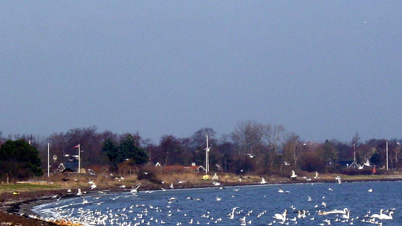 Photo of Others in Grønninghoved Strand