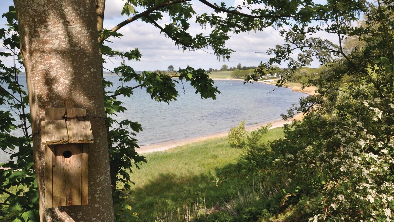 Photo of Others in Bøjden