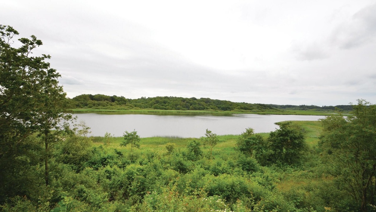 Photo of Others in Ronbjerg