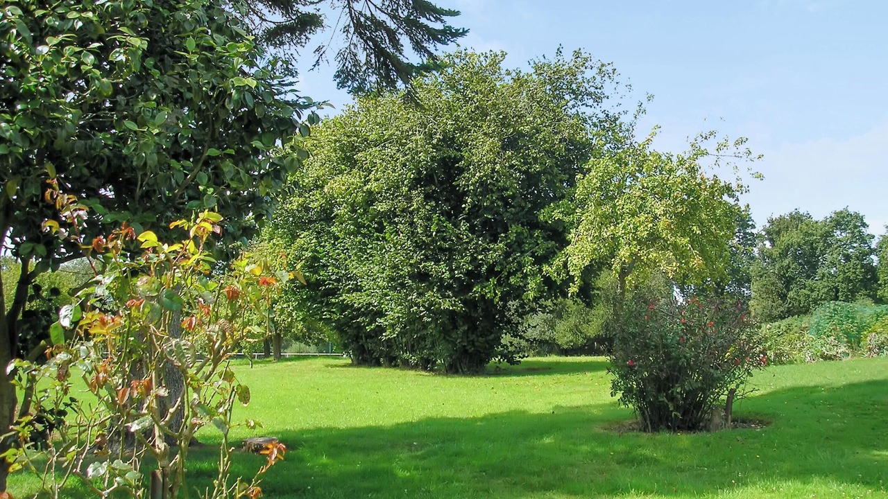 Photo of Outdoor in Plehedel