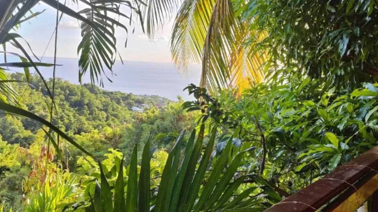 Photo of Outdoor in Vieux-Habitants