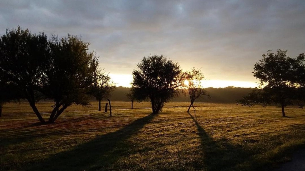 Photo of Outdoor in La Croix-en-Touraine