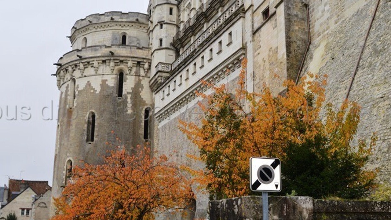Photo of Others in Amboise