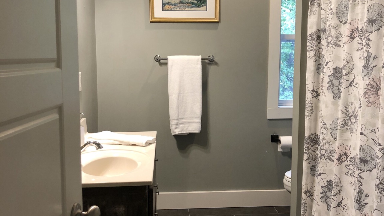 Photo of Bathroom in Sautee Nacoochee