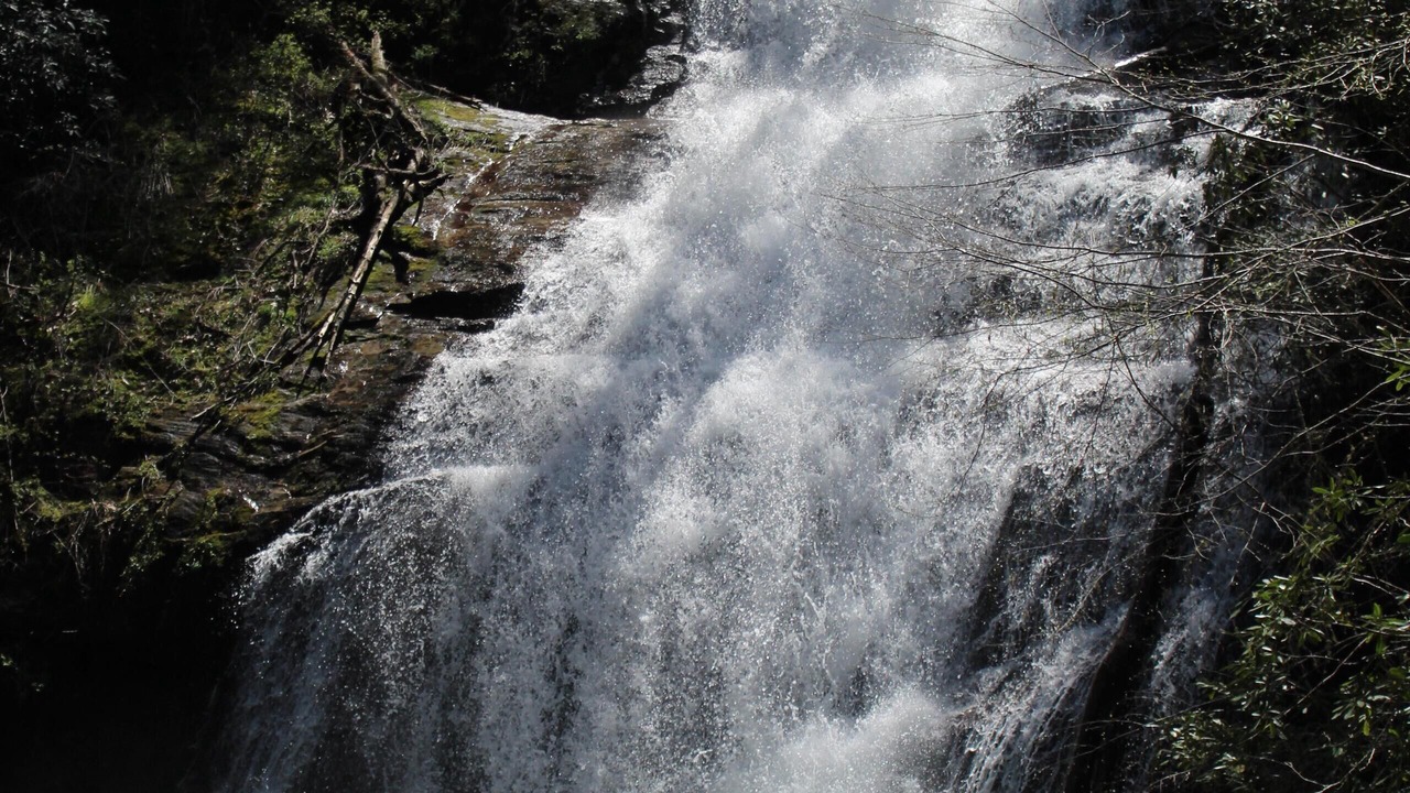 Photo of Others in Sautee Nacoochee