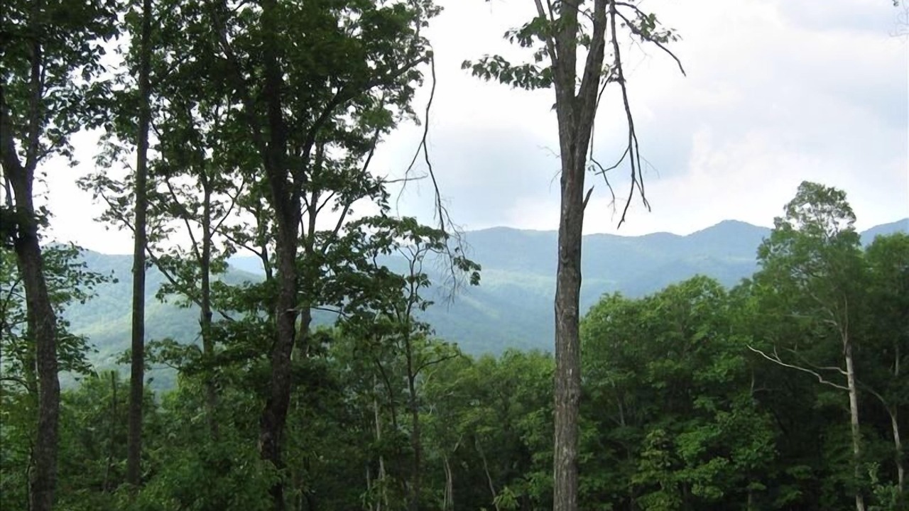 Photo of Outdoor in Hiawassee
