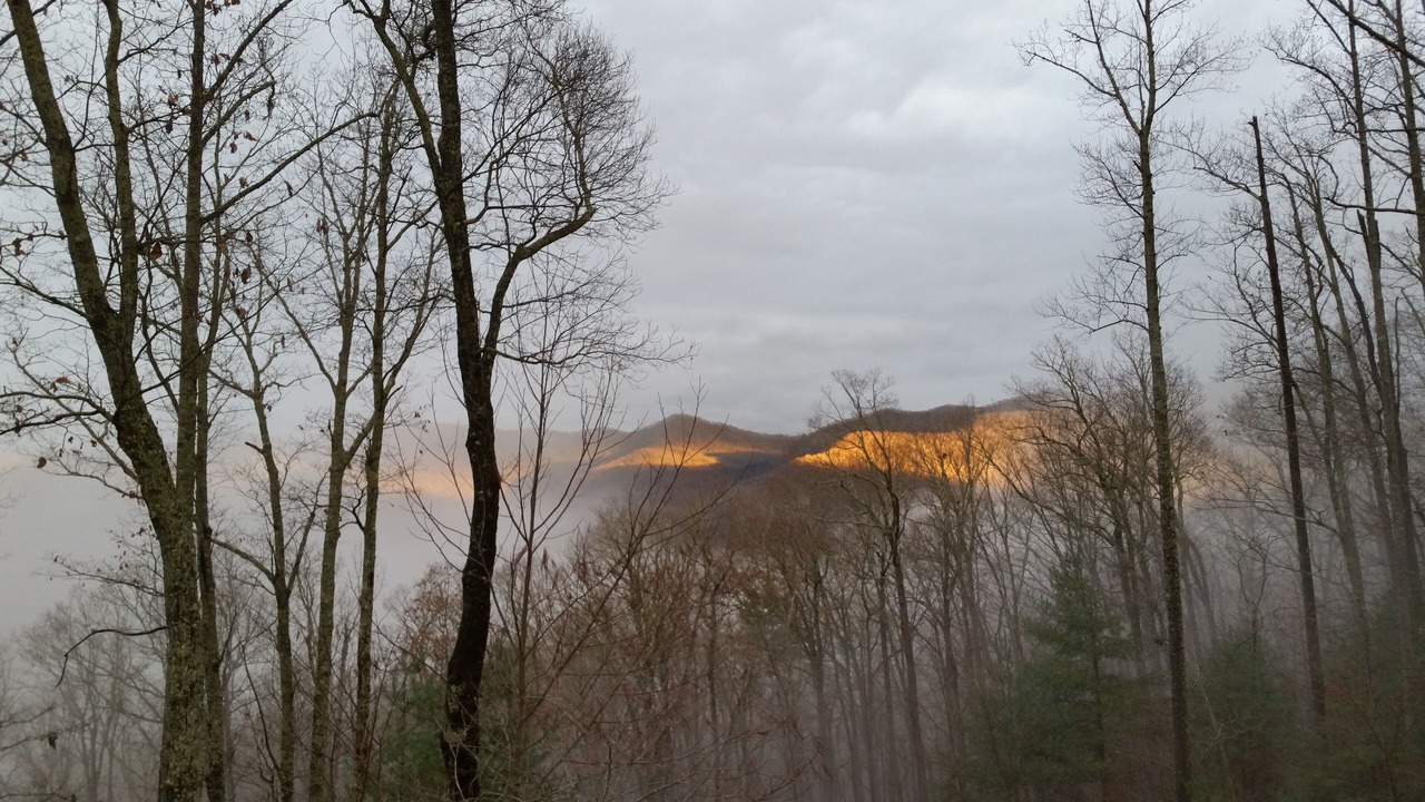 Photo of Others in Hiawassee