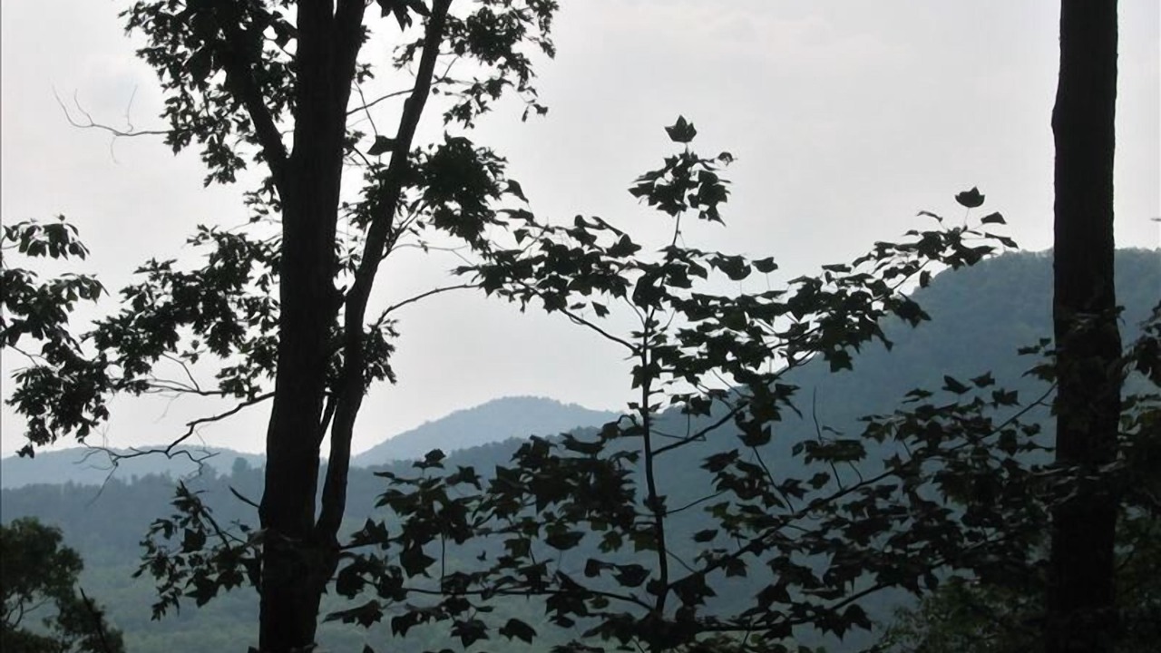 Photo of Outdoor in Hiawassee