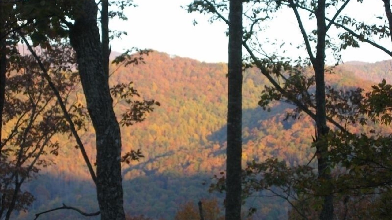 Photo of Outdoor in Hiawassee