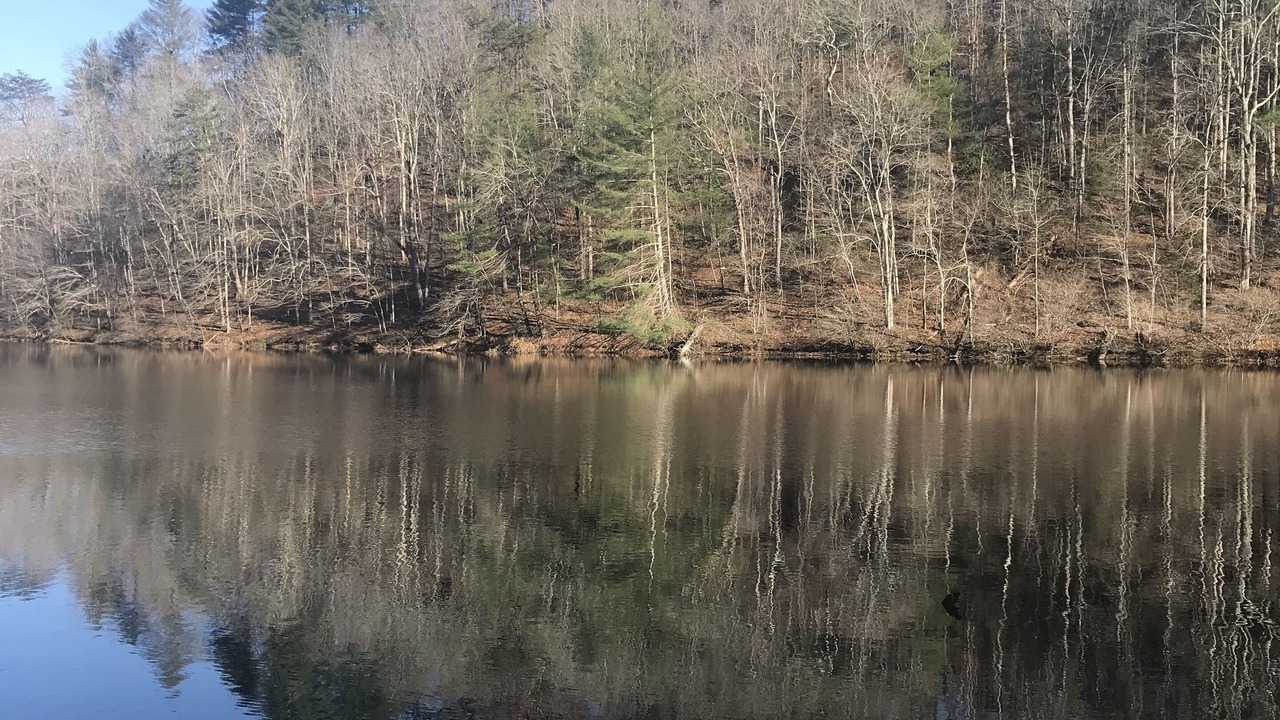 Photo of Outdoor in Cherry Log