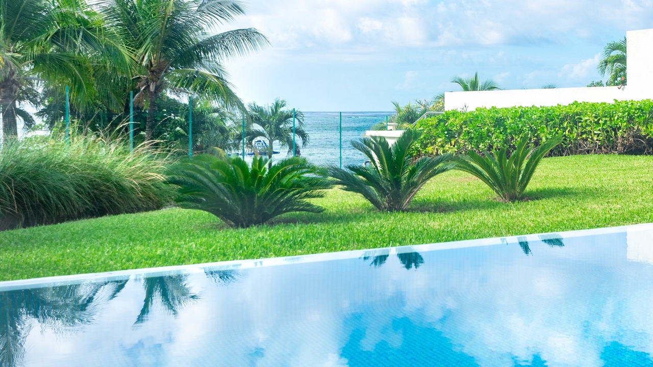 Photo of Outdoor in Pristine Bay