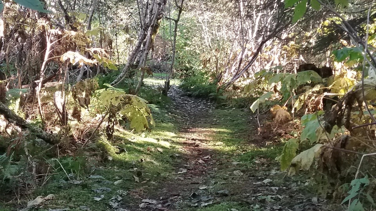 Photo of Others in Old Mill