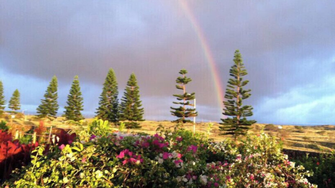Photo of Others in Waikoloa