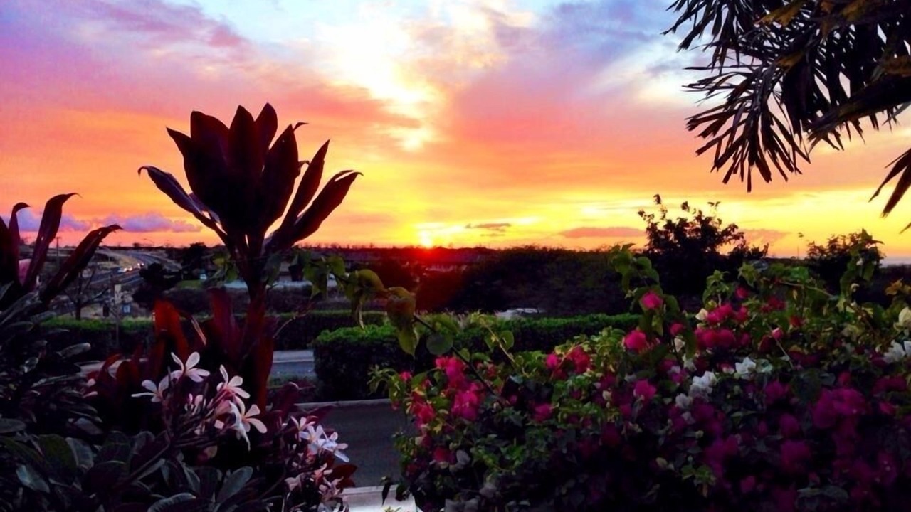 Photo of Others in Waikoloa