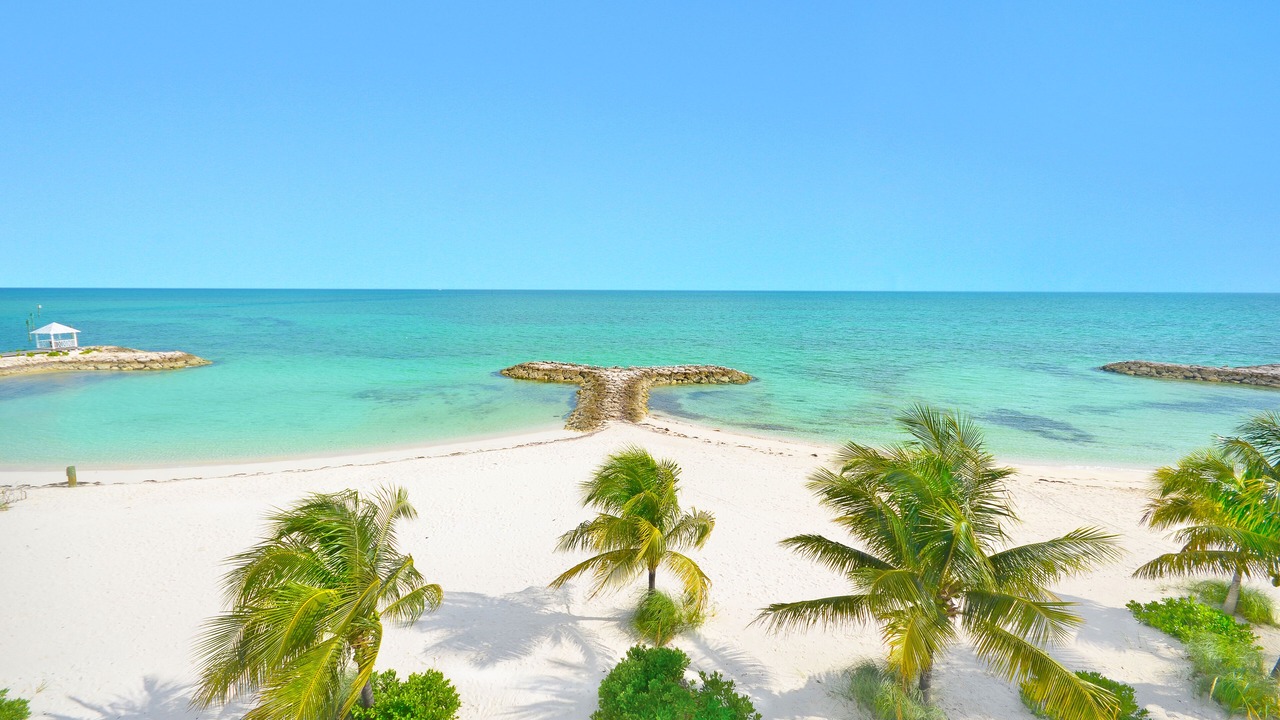 Photo of Others in Palm Cay