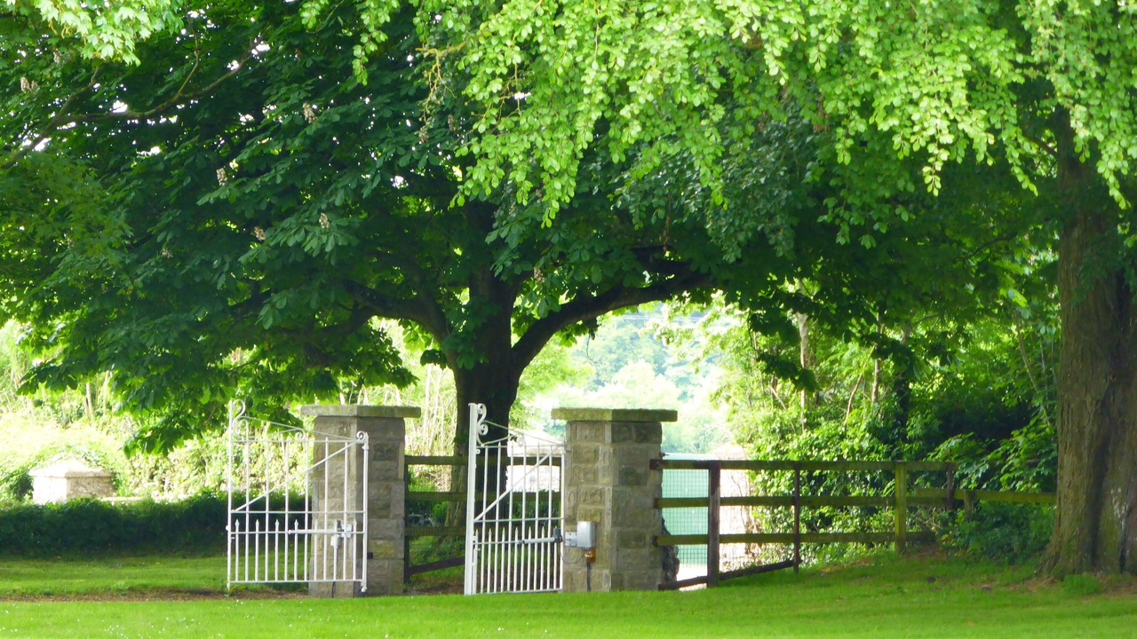 Photo of Others in Dunsany