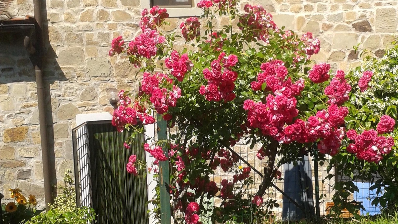 Photo of Outdoor in Saturnana