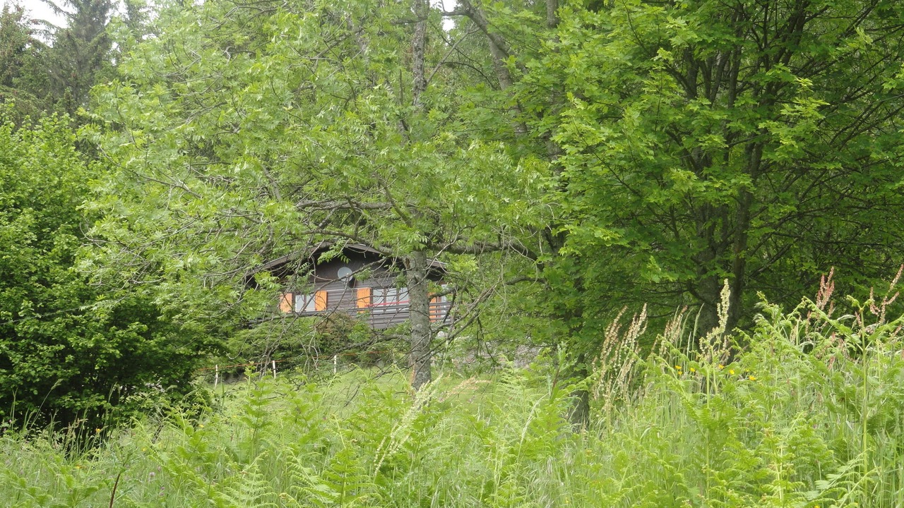 Photo of Outdoor in Muhlbach-sur-Munster
