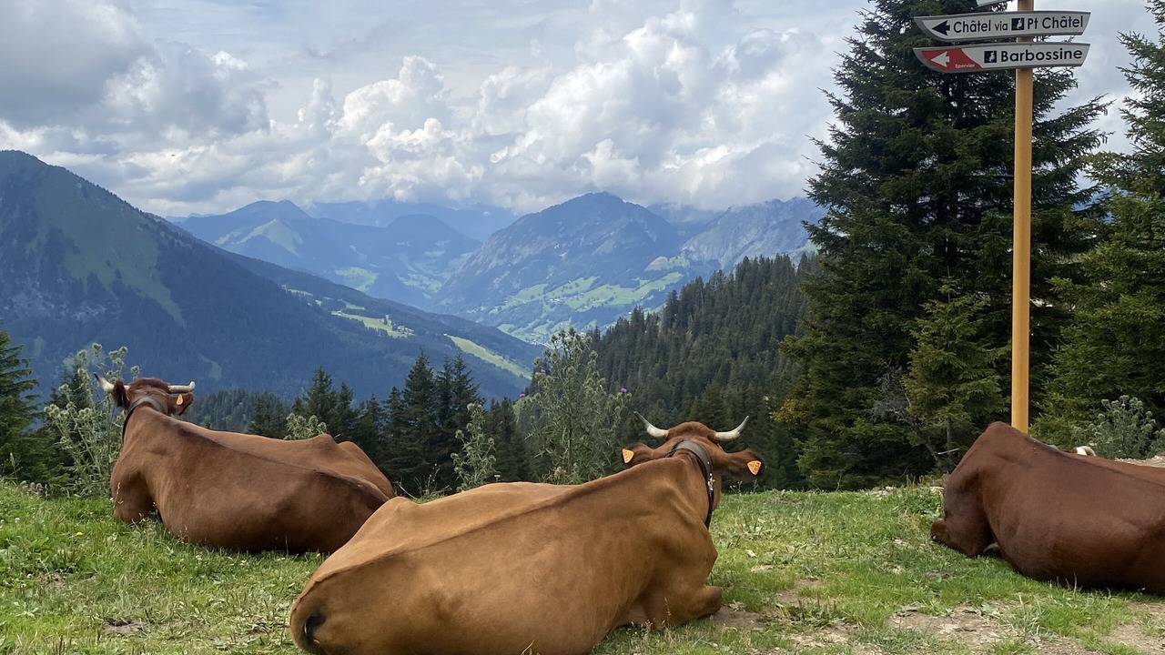 Photo of Outdoor in Vionnaz