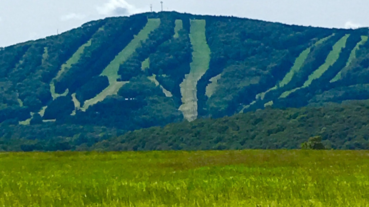 Photo of Others in Union Dale