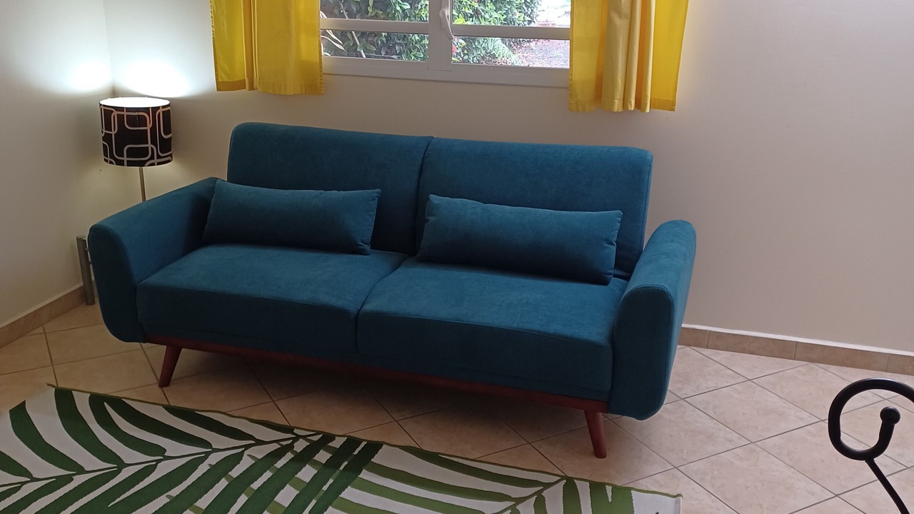 Photo of Livingroom in Lamentin
