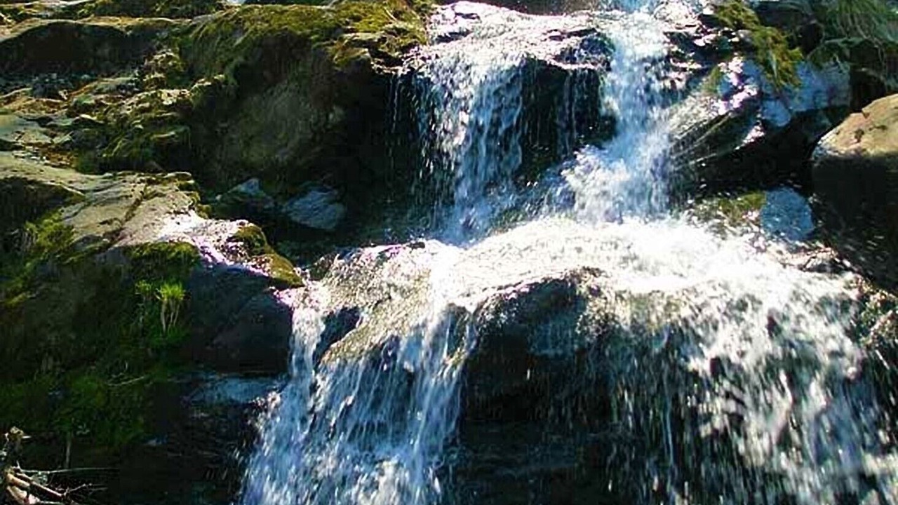 Photo of Outdoor in Stanley