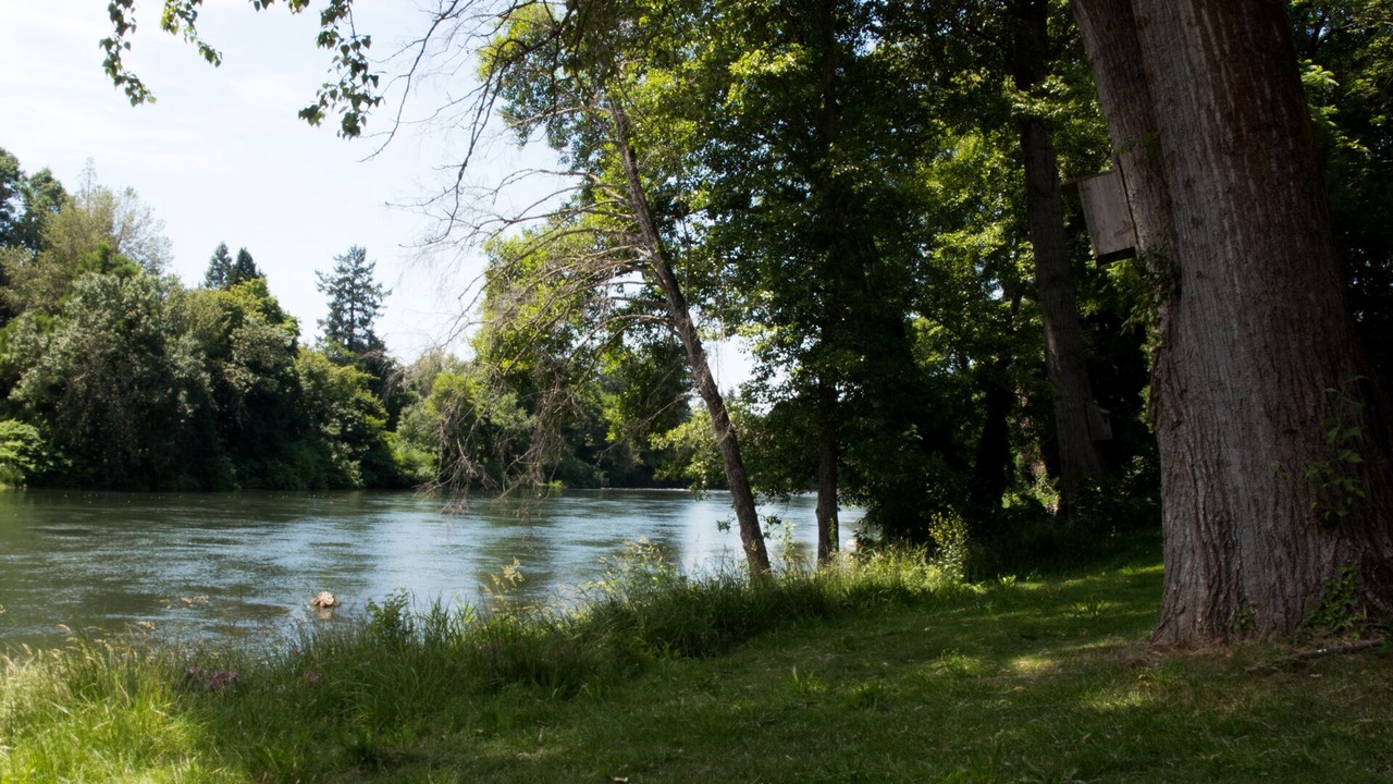 Photo of Others in Grants Pass