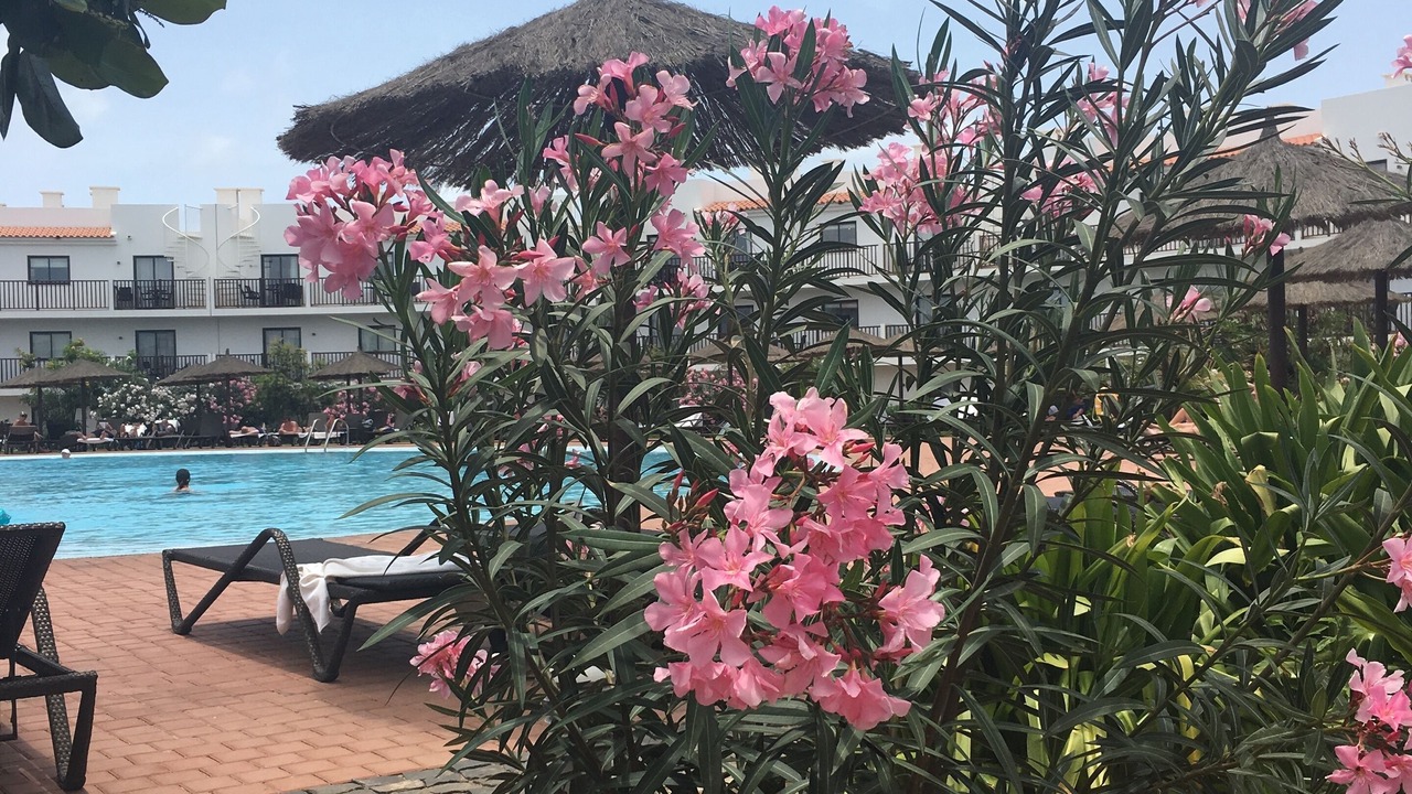 Photo of Outdoor in Santa Maria