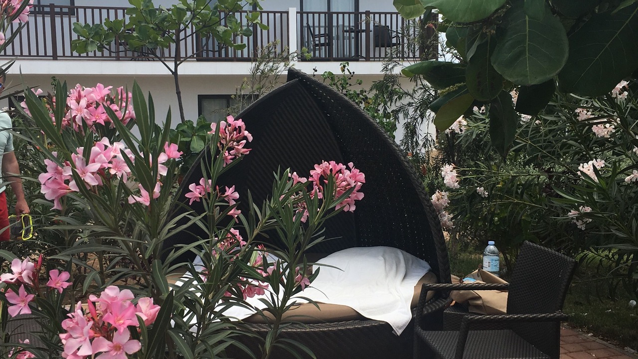 Photo of Patio Balcony in Santa Maria