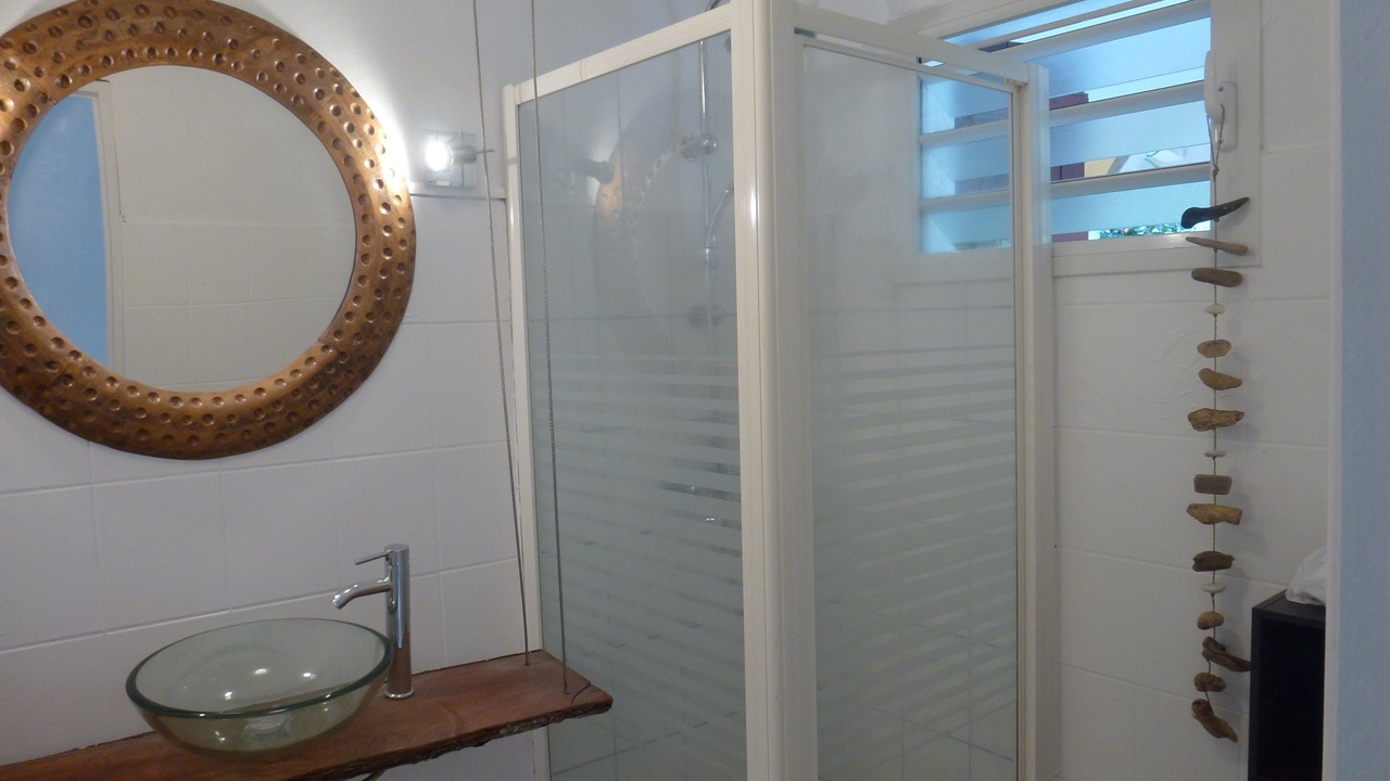 Photo of Bathroom in Deshaies