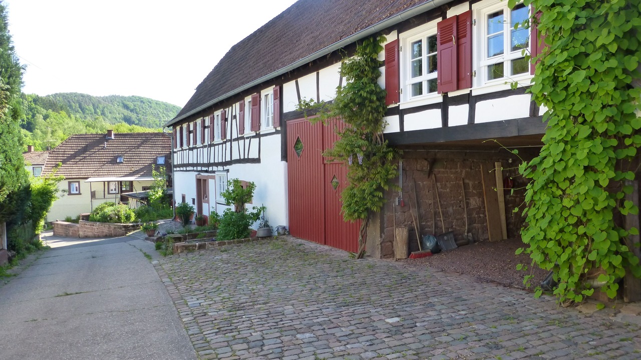 Photo of Outdoor in Erlenbach bei Dahn