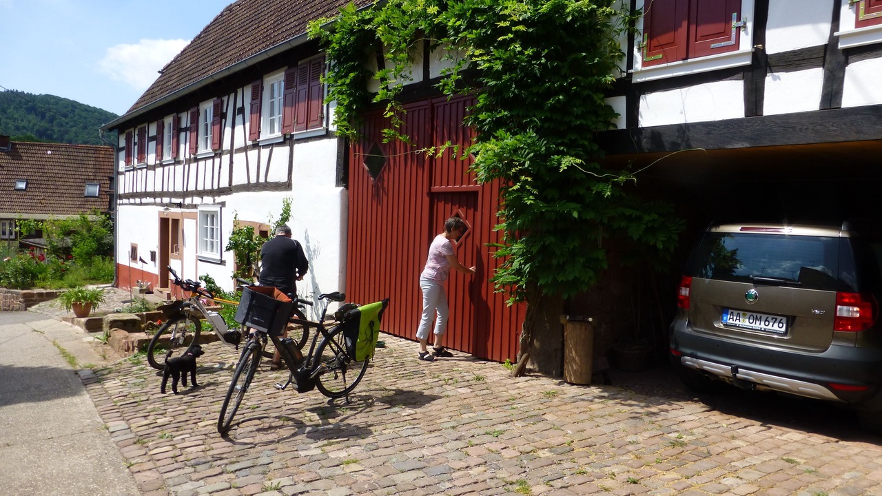 Photo of Outdoor in Erlenbach bei Dahn