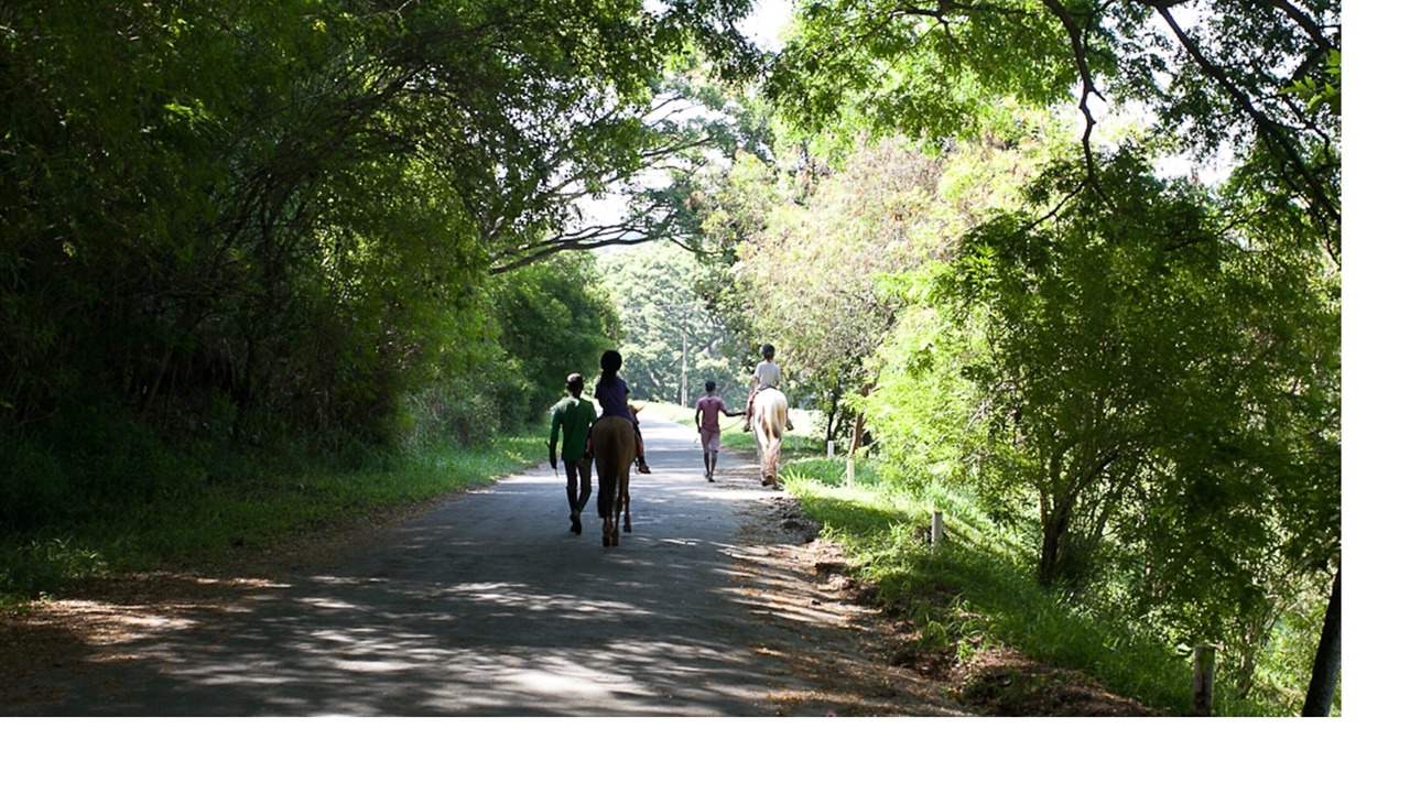 Photo of Others in Digana