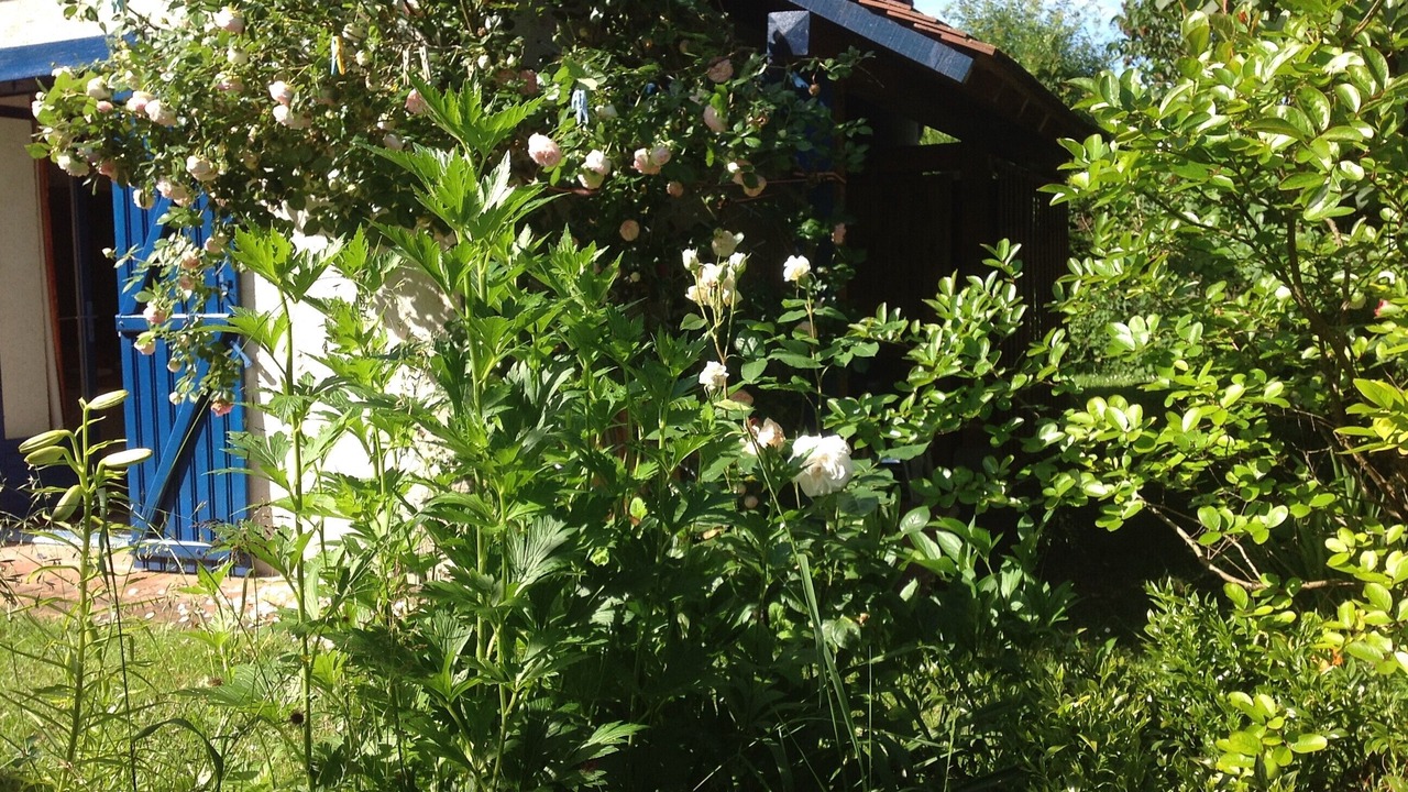 Photo of Outdoor in Chambon-sur-Cisse