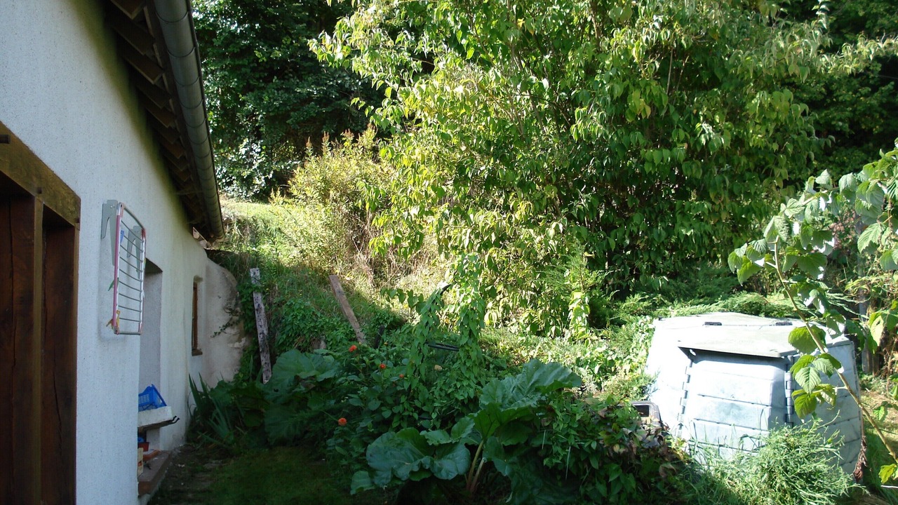 Photo of Outdoor in Chambon-sur-Cisse
