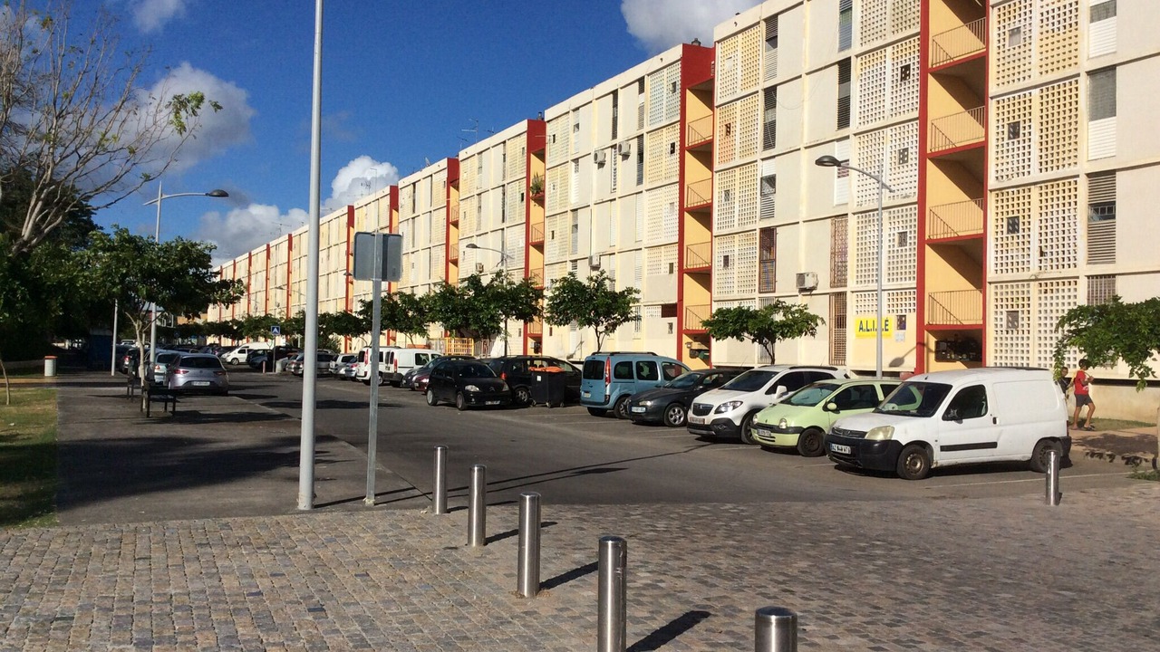 Photo of Outdoor in Pointe-a-Pitre