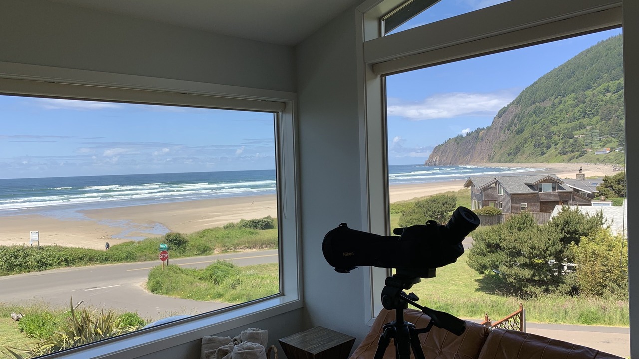 Photo of Others in Neahkahnie Beach
