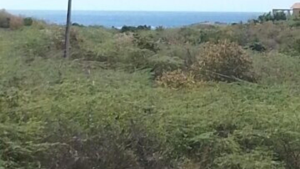 Photo of Others in Fraile