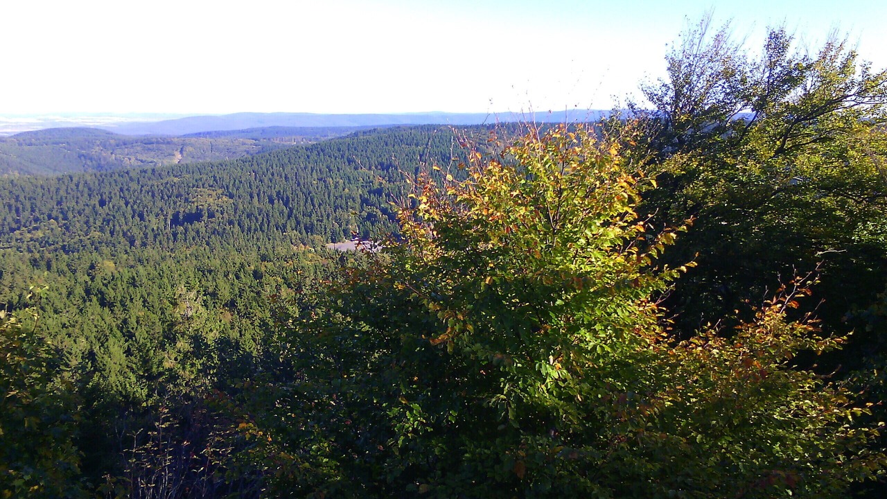 Photo of Outdoor in Tabarz