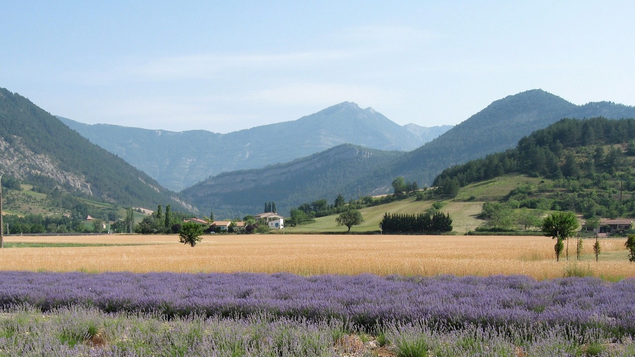 Photo of Outdoor in Aurel