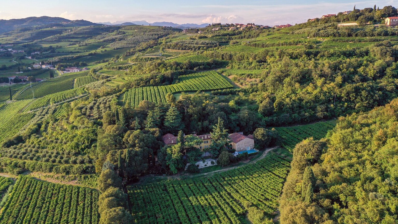 Photo of Others in San Martino Buon Albergo
