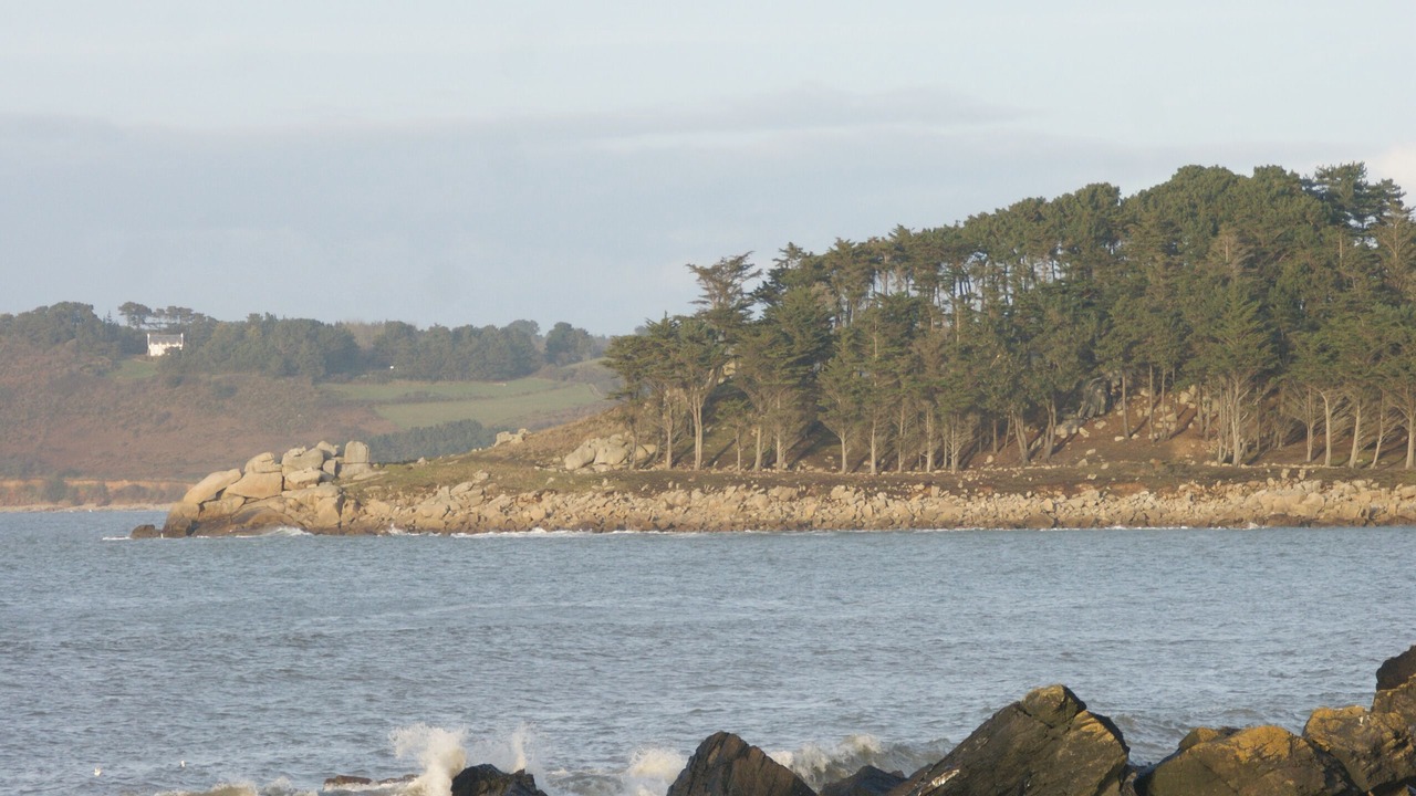 Photo of Others in Tredrez-Locquemeau