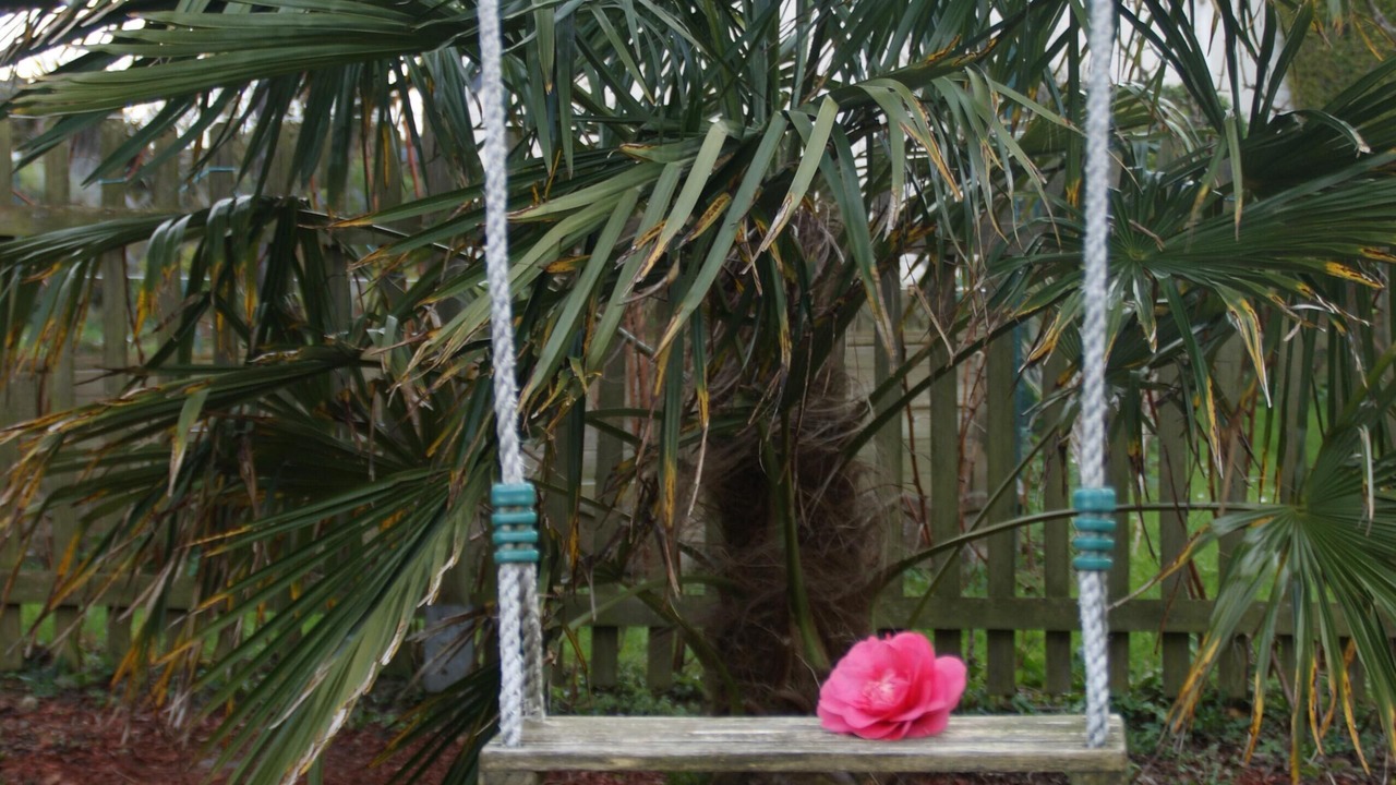 Photo of Outdoor in Tredrez-Locquemeau